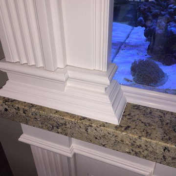 Aquarium Surround