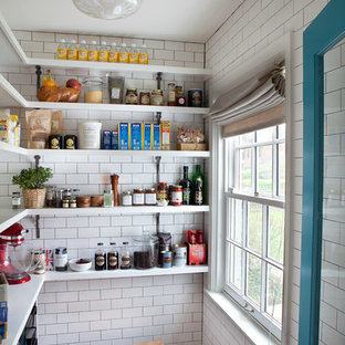 Traditional kitchen pantry designs - Inspiration for a timeless dark wood floor kitchen pantry remodel in Baltimore with open cabinets