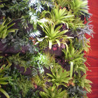 Indoor Vertical Garden / Flora Grubb