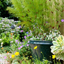 plants and outdoors