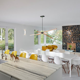 シカゴのコンテンポラリースタイルのLDKの画像 (白い壁、標準型暖炉)