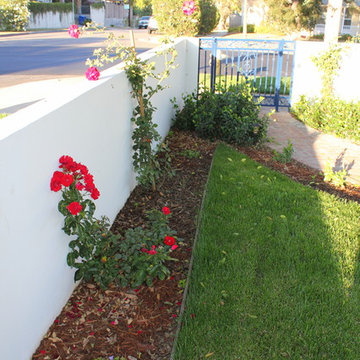 Front Yard Wall with Border Planting