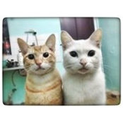 Cuong Ngo's photo