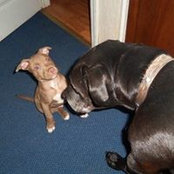 Dana Blake's photo
