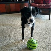 Sue Gabinelle's photo