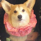 Sybil Smithさんの写真
