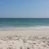 Roseann Wingate's photo