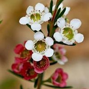 Joanna Trube's photo