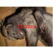 Jacob Klinger's photo