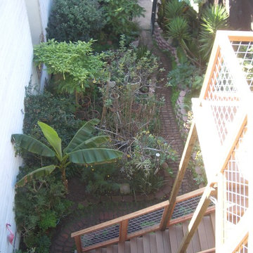 Corona Heights 2