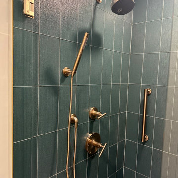 Master Bathroom Remodel Williamsburg