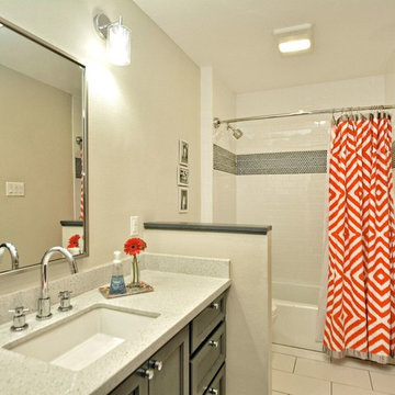 Mid Century Modern Addition Renovation