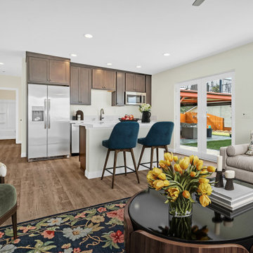Kitchen / Living Room