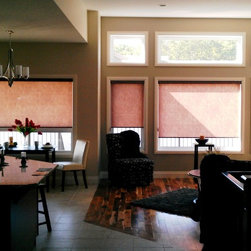 Hunter Douglas Roller/Screen Shades - Window Blinds