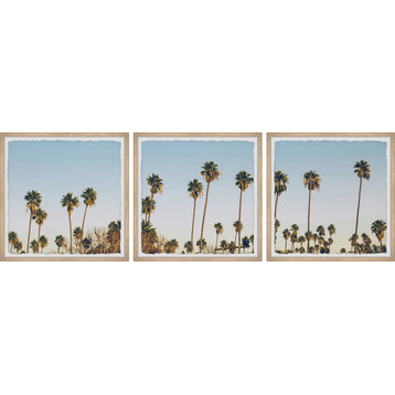 Palms Sunrise Triptych, 36"x12"