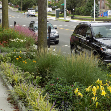Streetside Pollinator Gardens along Rte.1