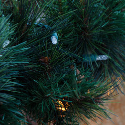 Duluth, GA Christmas Lighting Project String Light #1 - Outdoor Rope And String Lights