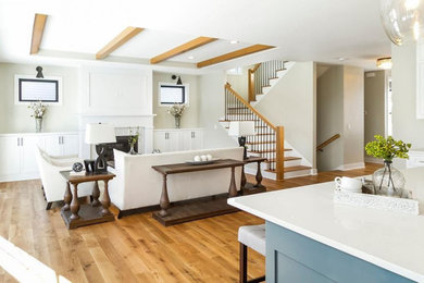 Living room - coastal living room idea in Minneapolis