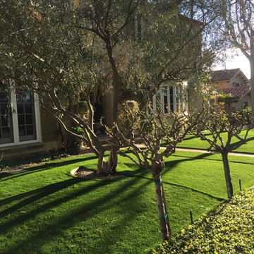 Artificial Grass Front Lawn