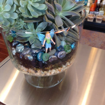 Fairy Gardens, Terrariums & Succulents