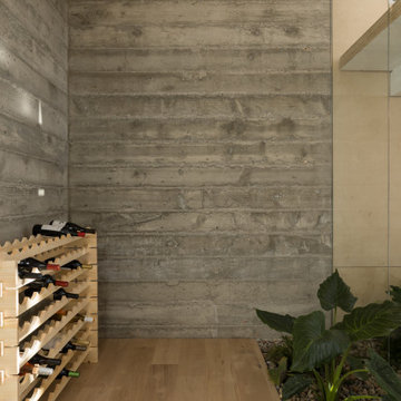 Wine storage with board-formed concrete walls and indoor garden - Fold House