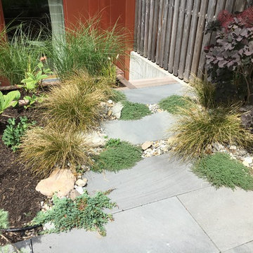 Cobble Hill Organic Modern