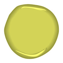 Color Book