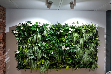 Mur vegetal interieur naturel