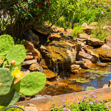 The Golden Pond and Water Features