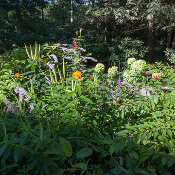 Complete Yard Renovation Newton, MA