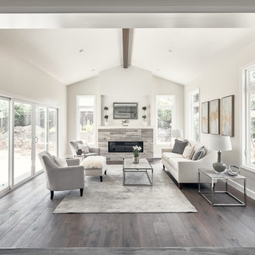Contemporary Living Area Remodel