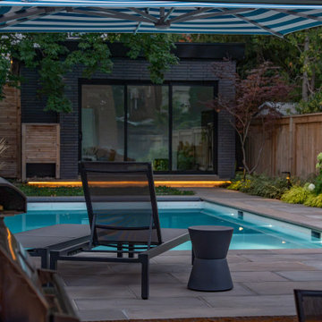 Modern Pool and Poolside Cabana — Full Backyard Build