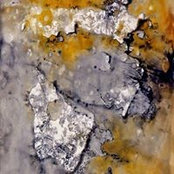 Sher L. Kahn's photo