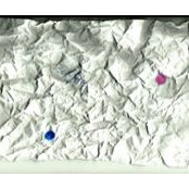 Ela Prokopek's photo
