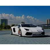 Robert Chou's photo