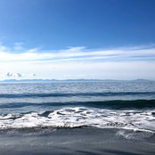 Pat Mckay's photo