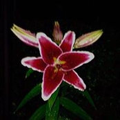 Donna Bennett's photo