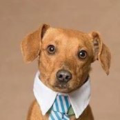Deborah Roberts's photo