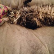 Marina Misraje's photo