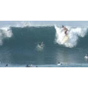 Matt Friedlander's photo