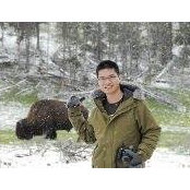 Ping Chung's photo