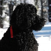 Jeanne Fehrman's photo