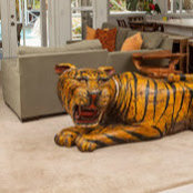 Amy Bond's photo