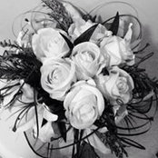 Maggie Jimenez-Carreno's photo