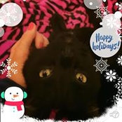 Chrisa Fielder's photo