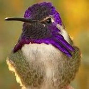 Foto von Patty Bowman