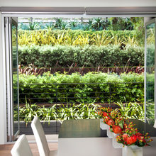 roller shades