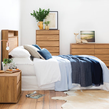 the MODA collection