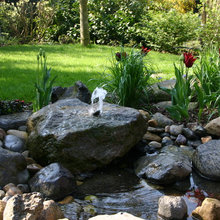 mein garten