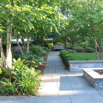 Birch Grove